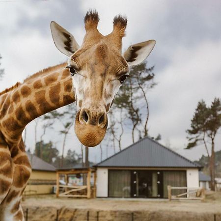 Safari Resort Beekse Bergen Hilvarenbeek Ngoại thất bức ảnh