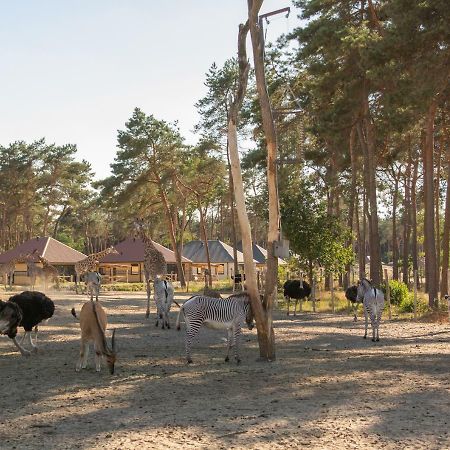 Safari Resort Beekse Bergen Hilvarenbeek Ngoại thất bức ảnh