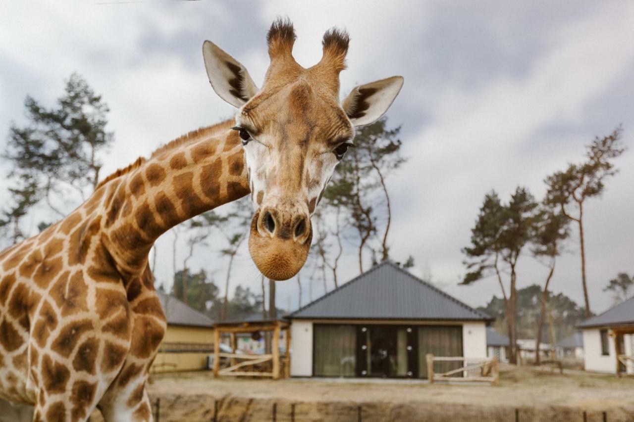 Safari Resort Beekse Bergen Hilvarenbeek Ngoại thất bức ảnh