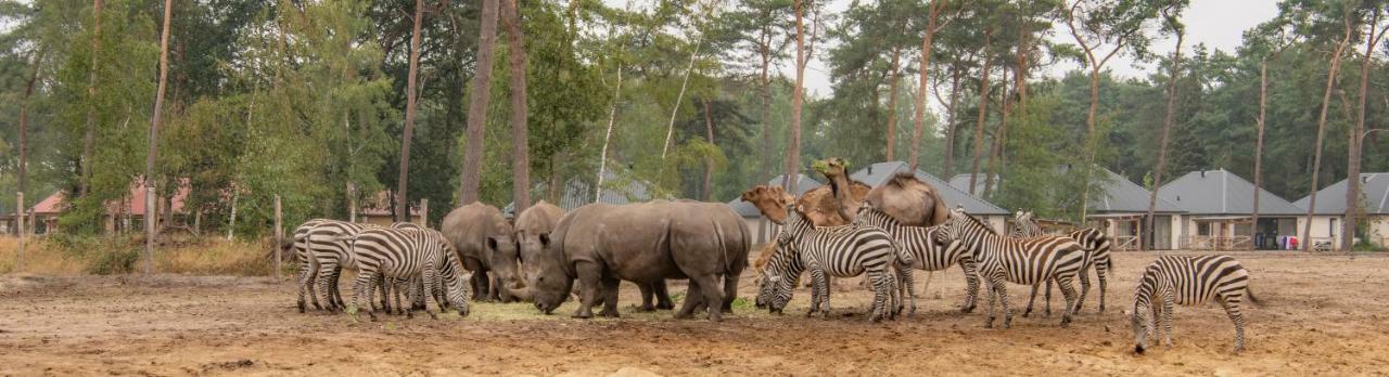 Safari Resort Beekse Bergen Hilvarenbeek Ngoại thất bức ảnh