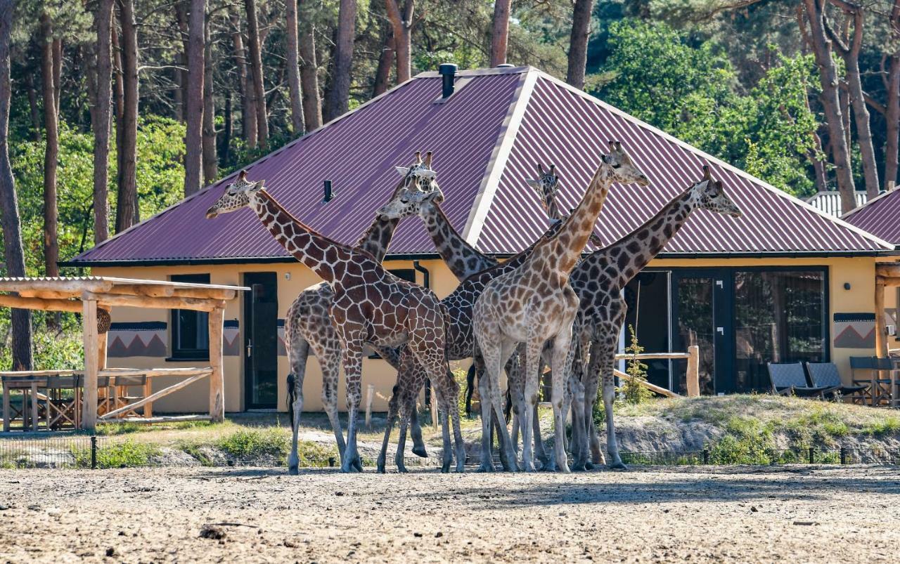 Safari Resort Beekse Bergen Hilvarenbeek Ngoại thất bức ảnh