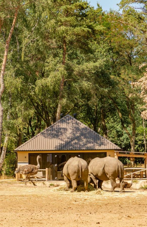 Safari Resort Beekse Bergen Hilvarenbeek Ngoại thất bức ảnh