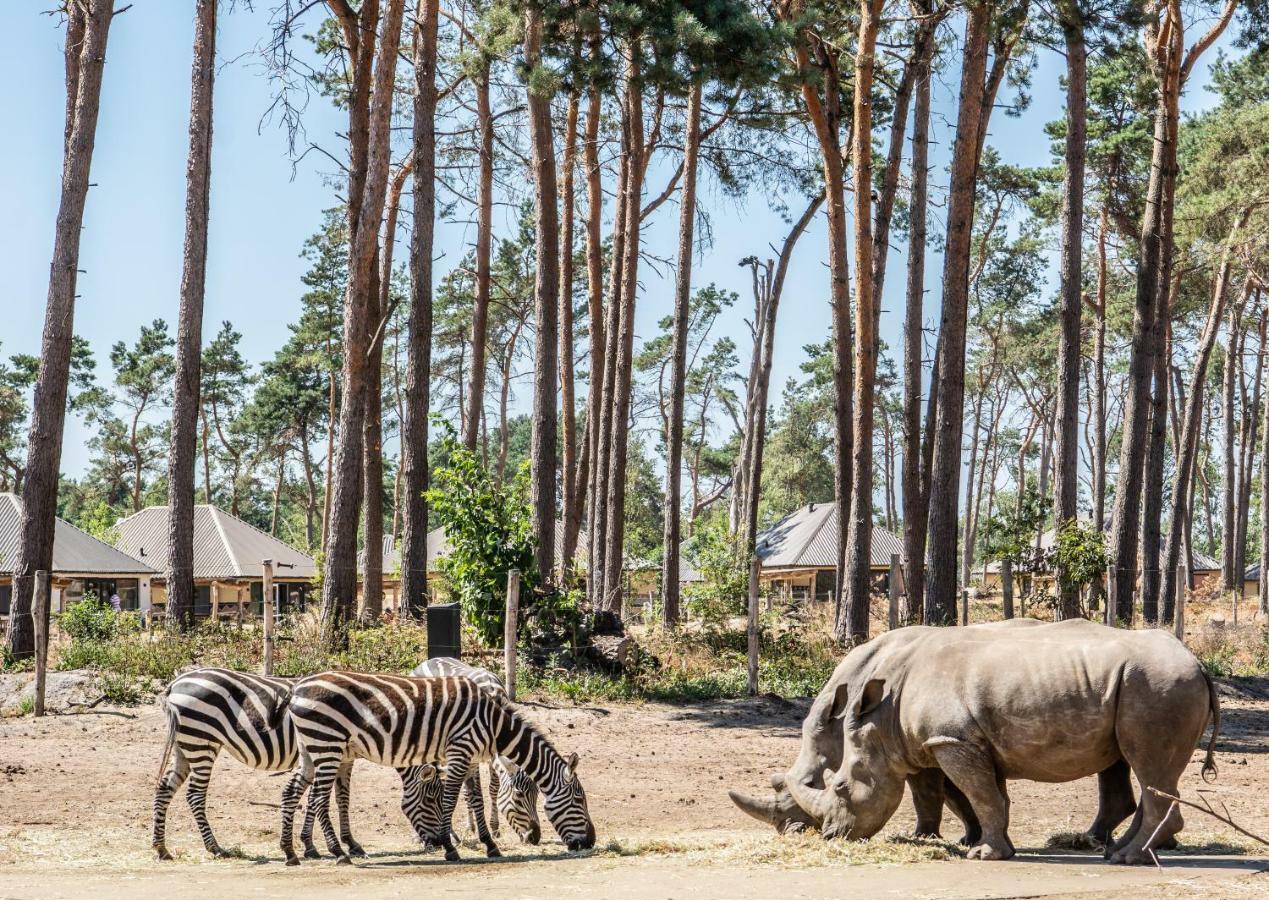 Safari Resort Beekse Bergen Hilvarenbeek Ngoại thất bức ảnh